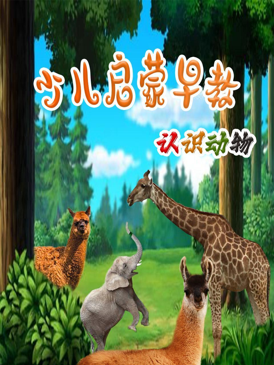 少儿启蒙早教认识动物