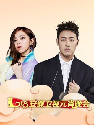 安徽卫视元宵