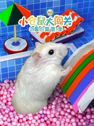 一道本无吗dⅴd在线播放一区