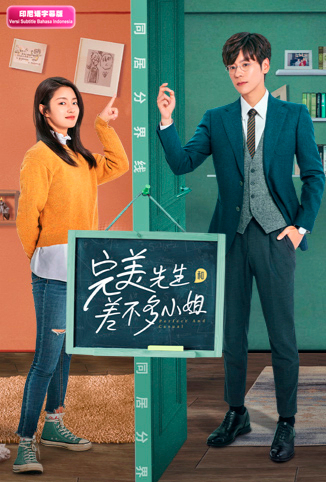 完美先生和差不多小姐 印尼语字幕版