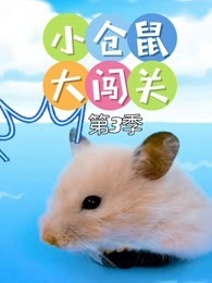 小仓鼠大闯关 第3季